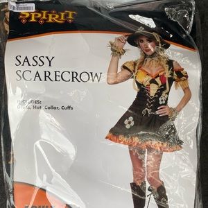Sassy Scarecrow Costume🍂✨